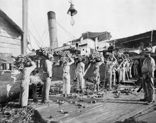 Cargando plátanos, Port Antonio, Jamaica, c1905
