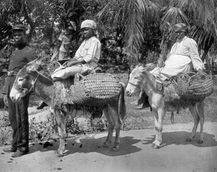 Camino a la cárcel, Jamaica, c1905