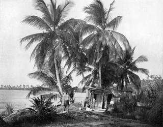 En el camino a Blue Hole, Port Antonio, Jamaica, c1905