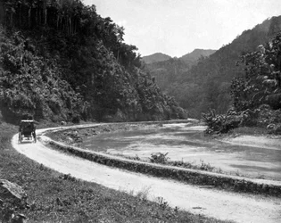 Camino a Bog Walk, Jamaica, c. 1905