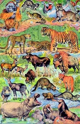Ilustración de animales salvajes