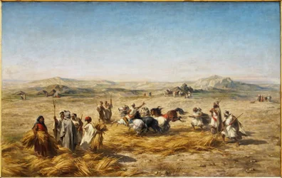Francés: Descarga de trigo en Argelia