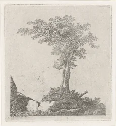 Dos árboles