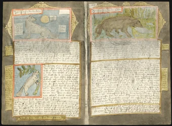 Visboeck de Adriaen Coenen