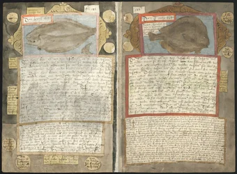 Visboeck de Adriaen Coenen