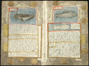 Visboeck de Adriaen Coenen - KB 78 E 54 - folios 210v (izquierda) y 211r (derecha)