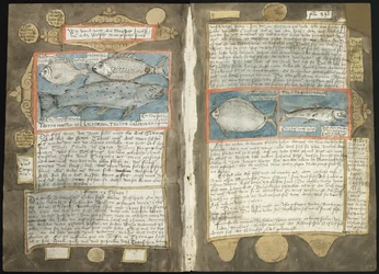 Visboeck de Adriaen Coenen - KB 78 E 54 - folios 339v (izquierda) y 340r (derecha)