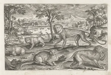 monos y gatos Animales de cuatro patas (título de la serie) Animalivm Qvaddrvpedvm (título de la serie)
