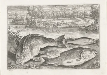 Tres carpas en un banco Pesca (título de la serie) Iconos de Piscium vivae (título de la serie)
