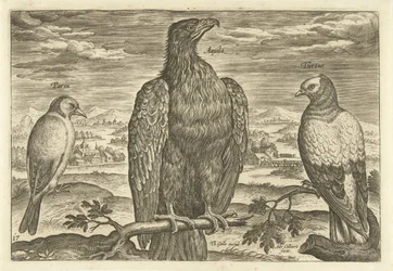 Tres pájaros en un paisaje Avium Vivae (título de la serie) Pájaros (título de la serie)