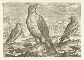 Tres pájaros en un paisaje
Pájaros (título de la serie)
Avivm vivae (título de la serie)