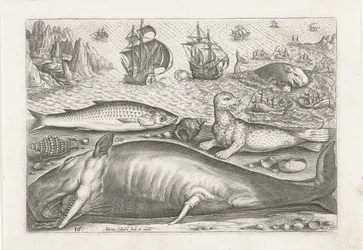 Un salmonete, un león marino y una ballena en la playa Pesca (título de la serie) Iconos de Piscivm vivae (título de la serie)