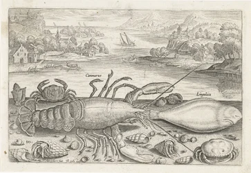 Un pez y unos crustáceos en la playa. Pesca (título de la serie) Iconos de Piscivm vivae (título de la serie)