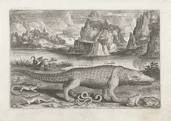 Algunos reptiles y anfibios en una orilla Pesca (título de la serie) Iconos de Piscivm vivae (título de la serie)