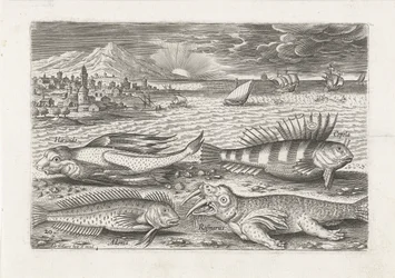 Algunos peces y una morsa en la playa. Pesca (título de la serie) Iconos de Piscivm vivae (título de la serie)