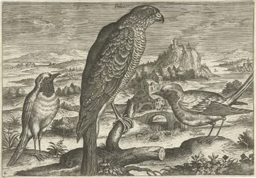 Algunas aves en un paisaje Pájaros (título de la serie) Avivm vivae (título de la serie)