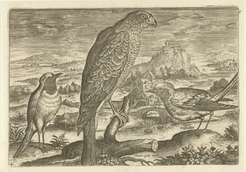 Algunas aves en un paisaje Pájaros (título de la serie) Avivm vivae (título de la serie)