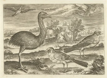 Algunas aves en un paisaje Pájaros (título de la serie) Avivm vivae (título de la serie)