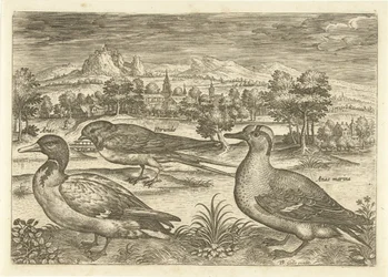Algunas aves en un paisaje Pájaros (título de la serie) Avivm vivae (título de la serie)