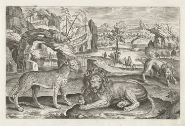 leones y leopardo Animales de cuatro patas (título de la serie) Animalivm Qvaddrvpedvm (título de la serie)