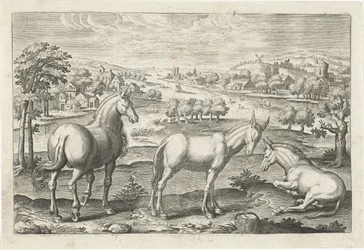 caballo y burros Animales de cuatro patas (título de la serie) Animalivm Qvaddrvpedvm (título de la serie)