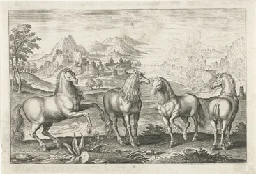 Caballos Animales de cuatro patas (título de la serie) Animalivm Qvaddrvpedvm (título de la serie)
