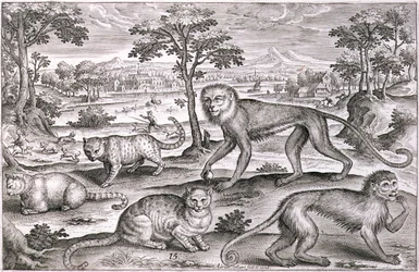 Tres gatos y dos monos