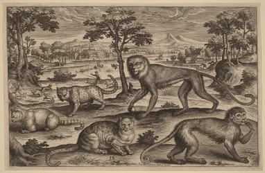 Tres gatos y dos monos
