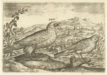 Dos pájaros en un paisaje Avium Vivae (título de la serie) Pájaros (título de la serie)