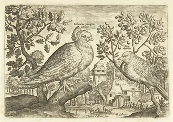 Dos pájaros en un paisaje Avium Vivae (título de la serie) Pájaros (título de la serie)
