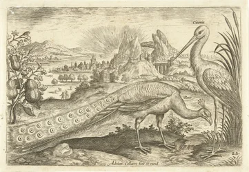 Dos pájaros en un paisaje Avium Vivae (título de la serie) Pájaros (título de la serie)