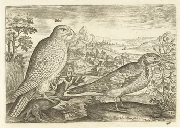 Dos pájaros en un paisaje Avium Vivae (título de la serie) Pájaros (título de la serie)