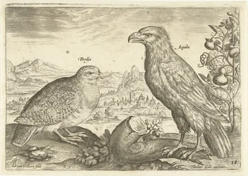 Dos pájaros en un paisaje Avium Vivae (título de la serie) Pájaros (título de la serie)