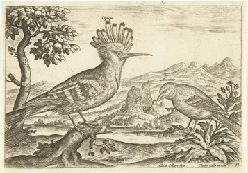 Dos pájaros en un paisaje Pájaros (título de la serie) Avium Vivae (título de la serie)
