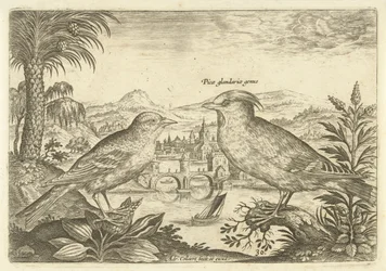 Dos pájaros en un paisaje
Pájaros (título de la serie)
Avivm Vivae (título de la serie)