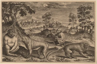 Dos Simios y Dos Monos