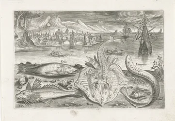 Cuatro peces en la playa Pesca (título de la serie) Iconos de Piscium vivae (título de la serie)