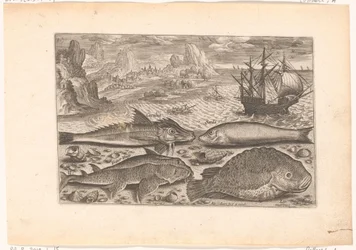 Cuatro peces en la playa
Fish (título de la serie)
Piscivm vivae icones (título de la serie)