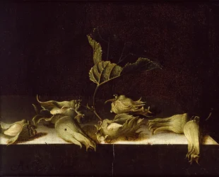 Naturaleza muerta con avellanas, 1696