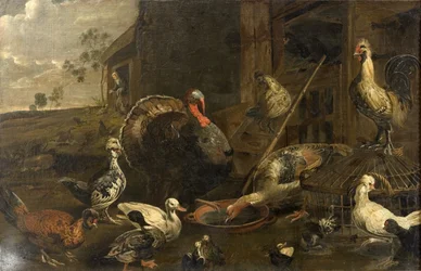Gallinas, patos y un pavo