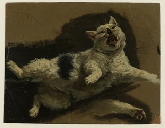Gato tumbado de espaldas y con la pata suelta