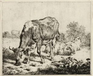 Una vaca y tres ovejas