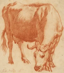 Una vaca pastando, c.1663