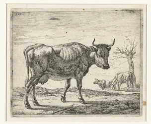 tres vacas Diferentes animales (título de la serie)