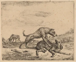 Perros peleando