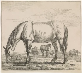 caballo pastando Ganadería (título de la serie)