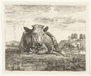 vaca mentirosa Diferentes animales (título de la serie)