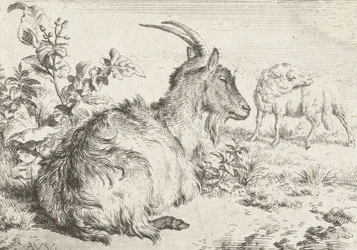Cabra acostada, 1670