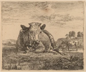 Vaca recostada