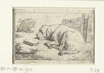 perro durmiendo